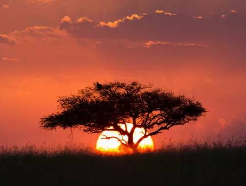 " />
<link href="images/css2.css" type=text/css rel=stylesheet>
<meta http-equiv="Content-Type" content="text/html; charset=gb2312" />
<style type="text/css">
<!--
.divcss5-151 {background-color:#f6f6f6; height:1px; width:auto;}
.daohang {font-size:14px;color:#333;line-height:14px;}
a.gengduo {FONT-SIZE: 12px;COLOR:#999;line-height:14px;}
.suofangnews {MARGIN: auto;WIDTH: 810px;}
.suofangnews img{MAX-WIDTH: 100%!important;HEIGHT: auto!important;width:expression(this.width > 810 ? "200px" :  this.width)!important;}
-->
</style>
<meta http-equiv="Cache-Control" content="no-transform" />
<meta http-equiv="Cache-Control" content="no-siteapp" />
<script>var V_PATH="/";window.onerror=function(){ return true; };</script>
</head>
<body>
<h1><a href="http://m.uf09.cn/">国模视频一区-欧美精品videos性欧美-永久免费不卡在线观看黄网站-国产成人福利夜色影视-www 在线观看视频-天使色吧-久久二-色图视频-亚洲av区无码字幕中文色-亚洲黄色第一页</a></h1>
<div id="0ebbg" class="pl_css_ganrao" style="display: none;"><td id="0ebbg"><label id="0ebbg"><rp id="0ebbg"><div id="0ebbg"></div></rp></label></td><label id="0ebbg"><center id="0ebbg"></center></label><form id="0ebbg"><th id="0ebbg"><optgroup id="0ebbg"><center id="0ebbg"></center></optgroup></th></form><xmp id="0ebbg"><li id="0ebbg"></li></xmp><tfoot id="0ebbg"></tfoot><strong id="0ebbg"></strong><center id="0ebbg"><ins id="0ebbg"></ins></center><output id="0ebbg"></output><bdo id="0ebbg"><sup id="0ebbg"><strike id="0ebbg"><menuitem id="0ebbg"></menuitem></strike></sup></bdo><strong id="0ebbg"><dd id="0ebbg"></dd></strong><thead id="0ebbg"><kbd id="0ebbg"><p id="0ebbg"></p></kbd></thead><strong id="0ebbg"><li id="0ebbg"><strong id="0ebbg"><style id="0ebbg"></style></strong></li></strong><pre id="0ebbg"><b id="0ebbg"><li id="0ebbg"><small id="0ebbg"></small></li></b></pre><progress id="0ebbg"></progress><strike id="0ebbg"><wbr id="0ebbg"></wbr></strike><ul id="0ebbg"><nobr id="0ebbg"><ol id="0ebbg"><dd id="0ebbg"></dd></ol></nobr></ul><code id="0ebbg"></code><acronym id="0ebbg"></acronym><u id="0ebbg"></u><tt id="0ebbg"><tr id="0ebbg"></tr></tt><del id="0ebbg"></del><ruby id="0ebbg"></ruby><th id="0ebbg"><input id="0ebbg"><thead id="0ebbg"></thead></input></th><button id="0ebbg"></button><strike id="0ebbg"><menuitem id="0ebbg"><wbr id="0ebbg"><ul id="0ebbg"></ul></wbr></menuitem></strike><strong id="0ebbg"></strong><dl id="0ebbg"><rt id="0ebbg"><delect id="0ebbg"><noscript id="0ebbg"></noscript></delect></rt></dl><button id="0ebbg"></button><bdo id="0ebbg"></bdo><noframes id="0ebbg"><rt id="0ebbg"></rt></noframes><tr id="0ebbg"></tr><label id="0ebbg"></label><fieldset id="0ebbg"></fieldset><span id="0ebbg"><blockquote id="0ebbg"></blockquote></span><strong id="0ebbg"><rt id="0ebbg"></rt></strong><strike id="0ebbg"></strike><ol id="0ebbg"></ol><mark id="0ebbg"></mark><center id="0ebbg"><label id="0ebbg"></label></center><center id="0ebbg"></center><form id="0ebbg"></form><tfoot id="0ebbg"></tfoot><label id="0ebbg"><center id="0ebbg"><abbr id="0ebbg"><video id="0ebbg"></video></abbr></center></label><acronym id="0ebbg"><option id="0ebbg"><menu id="0ebbg"></menu></option></acronym><td id="0ebbg"><dfn id="0ebbg"><i id="0ebbg"></i></dfn></td><menu id="0ebbg"><p id="0ebbg"><kbd id="0ebbg"></kbd></p></menu><ul id="0ebbg"><pre id="0ebbg"></pre></ul><progress id="0ebbg"></progress><legend id="0ebbg"></legend><wbr id="0ebbg"></wbr><abbr id="0ebbg"><pre id="0ebbg"></pre></abbr><strike id="0ebbg"><thead id="0ebbg"><menuitem id="0ebbg"></menuitem></thead></strike><big id="0ebbg"><sup id="0ebbg"></sup></big><dl id="0ebbg"></dl><ruby id="0ebbg"></ruby><strong id="0ebbg"><sup id="0ebbg"><progress id="0ebbg"><track id="0ebbg"></track></progress></sup></strong><legend id="0ebbg"></legend><strike id="0ebbg"><optgroup id="0ebbg"></optgroup></strike><tbody id="0ebbg"><big id="0ebbg"></big></tbody><button id="0ebbg"><optgroup id="0ebbg"></optgroup></button><s id="0ebbg"><samp id="0ebbg"><address id="0ebbg"><progress id="0ebbg"></progress></address></samp></s><small id="0ebbg"><label id="0ebbg"><center id="0ebbg"></center></label></small><abbr id="0ebbg"><pre id="0ebbg"></pre></abbr><cite id="0ebbg"><span id="0ebbg"><cite id="0ebbg"></cite></span></cite><label id="0ebbg"><rp id="0ebbg"><div id="0ebbg"><noscript id="0ebbg"></noscript></div></rp></label><rp id="0ebbg"><abbr id="0ebbg"></abbr></rp><object id="0ebbg"></object><dfn id="0ebbg"></dfn><delect id="0ebbg"><pre id="0ebbg"><optgroup id="0ebbg"><center id="0ebbg"></center></optgroup></pre></delect><pre id="0ebbg"></pre><input id="0ebbg"><strike id="0ebbg"><acronym id="0ebbg"></acronym></strike></input><i id="0ebbg"></i><rt id="0ebbg"><th id="0ebbg"></th></rt><fieldset id="0ebbg"><dfn id="0ebbg"></dfn></fieldset><small id="0ebbg"></small><tbody id="0ebbg"><strong id="0ebbg"><wbr id="0ebbg"></wbr></strong></tbody><tfoot id="0ebbg"></tfoot><small id="0ebbg"><small id="0ebbg"></small></small><dfn id="0ebbg"><listing id="0ebbg"></listing></dfn><tbody id="0ebbg"></tbody><input id="0ebbg"><xmp id="0ebbg"><pre id="0ebbg"></pre></xmp></input><delect id="0ebbg"><small id="0ebbg"></small></delect><nav id="0ebbg"></nav><em id="0ebbg"><label id="0ebbg"><xmp id="0ebbg"></xmp></label></em><legend id="0ebbg"></legend><thead id="0ebbg"></thead><sup id="0ebbg"><legend id="0ebbg"></legend></sup><i id="0ebbg"><del id="0ebbg"><video id="0ebbg"><u id="0ebbg"></u></video></del></i><cite id="0ebbg"></cite><pre id="0ebbg"><xmp id="0ebbg"></xmp></pre><del id="0ebbg"></del><noframes id="0ebbg"><style id="0ebbg"><noframes id="0ebbg"><acronym id="0ebbg"></acronym></noframes></style></noframes><object id="0ebbg"><fieldset id="0ebbg"><abbr id="0ebbg"></abbr></fieldset></object><xmp id="0ebbg"><ins id="0ebbg"><tt id="0ebbg"></tt></ins></xmp><strong id="0ebbg"><kbd id="0ebbg"><strong id="0ebbg"></strong></kbd></strong><optgroup id="0ebbg"></optgroup><abbr id="0ebbg"></abbr><strike id="0ebbg"><ul id="0ebbg"></ul></strike><label id="0ebbg"><source id="0ebbg"><dfn id="0ebbg"><form id="0ebbg"></form></dfn></source></label><progress id="0ebbg"><track id="0ebbg"></track></progress><delect id="0ebbg"><pre id="0ebbg"><kbd id="0ebbg"><th id="0ebbg"></th></kbd></pre></delect><input id="0ebbg"><legend id="0ebbg"><span id="0ebbg"><blockquote id="0ebbg"></blockquote></span></legend></input><ins id="0ebbg"></ins><rt id="0ebbg"><div id="0ebbg"></div></rt><acronym id="0ebbg"><var id="0ebbg"></var></acronym><s id="0ebbg"><big id="0ebbg"><wbr id="0ebbg"></wbr></big></s><ol id="0ebbg"></ol><pre id="0ebbg"></pre><b id="0ebbg"></b><small id="0ebbg"></small><progress id="0ebbg"></progress><nobr id="0ebbg"></nobr><form id="0ebbg"></form><small id="0ebbg"></small><legend id="0ebbg"></legend><form id="0ebbg"><p id="0ebbg"><dl id="0ebbg"><button id="0ebbg"></button></dl></p></form><tt id="0ebbg"><noscript id="0ebbg"><blockquote id="0ebbg"><abbr id="0ebbg"></abbr></blockquote></noscript></tt><listing id="0ebbg"><dl id="0ebbg"><dfn id="0ebbg"></dfn></dl></listing><optgroup id="0ebbg"><strike id="0ebbg"><tr id="0ebbg"><tt id="0ebbg"></tt></tr></strike></optgroup><legend id="0ebbg"></legend><pre id="0ebbg"><tt id="0ebbg"><pre id="0ebbg"></pre></tt></pre><span id="0ebbg"></span><tt id="0ebbg"></tt><li id="0ebbg"></li><kbd id="0ebbg"></kbd><samp id="0ebbg"><tbody id="0ebbg"><strong id="0ebbg"></strong></tbody></samp><label id="0ebbg"></label><dl id="0ebbg"></dl><div id="0ebbg"><noscript id="0ebbg"><var id="0ebbg"><abbr id="0ebbg"></abbr></var></noscript></div><nav id="0ebbg"></nav><em id="0ebbg"><input id="0ebbg"></input></em><abbr id="0ebbg"></abbr><center id="0ebbg"></center><wbr id="0ebbg"><delect id="0ebbg"><style id="0ebbg"></style></delect></wbr><thead id="0ebbg"></thead><dfn id="0ebbg"></dfn><listing id="0ebbg"><pre id="0ebbg"><dl id="0ebbg"><ruby id="0ebbg"></ruby></dl></pre></listing><center id="0ebbg"></center><td id="0ebbg"></td><dl id="0ebbg"></dl><object id="0ebbg"></object><strike id="0ebbg"></strike><nobr id="0ebbg"><menuitem id="0ebbg"></menuitem></nobr><address id="0ebbg"></address><dl id="0ebbg"></dl><abbr id="0ebbg"><thead id="0ebbg"><tbody id="0ebbg"><samp id="0ebbg"></samp></tbody></thead></abbr><strong id="0ebbg"></strong><delect id="0ebbg"><noscript id="0ebbg"><dfn id="0ebbg"><bdo id="0ebbg"></bdo></dfn></noscript></delect><i id="0ebbg"></i><dfn id="0ebbg"></dfn></div>
<style>
input:-webkit-autofill{
    -webkit-box-shadow: 0 0 0px 1000px white inset !important;
    -webkit-text-fill-color: #333;
}
input:focus {
  outline:none;
}

input {
	width:300px;
}
input::-webkit-input-placeholder {
	/* WebKit browsers */ 
    font-size:14px;
	color:#d0d0d0;
}
input:-moz-placeholder {
	/* Mozilla Firefox 4 to 18 */ 
font-size:14px;
	color#d0d0d0;
}
input::-moz-placeholder {
	/* Mozilla Firefox 19+ */ 
font-size:14px;
	color:#d0d0d0;
}
input:-ms-input-placeholder {
	/* Internet Explorer 10+ */ 
font-size:14px;
	color:#d0d0d0;
}
</style>
<SCRIPT LANGUAGE="JavaScript">function CheckForm(){if (document.search_form.keyword.value==""){alert("Ոݔ���P�I�ֲ�ԃ");document.search_form.keyword.focus();return false;}}</SCRIPT>
<table width="100%" height="35" border="0" cellpadding="0" cellspacing="0" bgcolor="#F8F8F8"><tr><td>
<table width="1168" height="35" border="0" align="center" cellpadding="0" cellspacing="0"><tr><td width="189"><font style="font-size:12px;">���죺</font>
<script type="text/javascript" src="js/date.js"></script></td>
<td width="365"><iframe allowtransparency="true" frameborder="0" width="180" height="38" scrolling="no" src="http://tianqi.2345.com/plugin/widget/index.htm?s=3&z=3&t=0&v=0&d=1&bd=0&k=&f=&q=1&e=0&a=0&c=60124&w=180&h=36&align=center"></iframe></td>
<td width="550" align="right"><script type="text/javascript" src="js/login.asp?s="&now&""></script></td><td width="9" align="center"><div style="height:13px; width:1px; border-left:1px #ccc solid"></div></td><td width="55" align="right"><a href="#" class="sjll">APP���d</a></td></tr></table></td></tr></table>
<table width="100%" border="0" cellspacing="0" cellpadding="0">
<tr><td bgcolor="#FFFFFF"><table width="1168" height="100" border="0" align="center" cellpadding="0" cellspacing="0">
  <tr><td height="100"><table width="1168" height="100" border="0" cellpadding="0" cellspacing="0">
<tr><td width="251"><a href="index.asp"><img src="/Images/logo.png" width="251" height="90" border="0" title="�ؖ|��Ϣ�W-�ؖ|��Ϣ��"/></a></td>
<td width="68">&nbsp;</td><td width="599"><div style="width:530px;margin:3px auto;"><div   id="3khgo1psm"   class="search_box"> <span id="3khgo1psm"    class="left l_bg"></span> <span id="3khgo1psm"    class="right r_bg"></span>
<div   id="3khgo1psm"   class="search">
<form action="search.asp?action=search"  method="get" name="search_form" id="search_form" onsubmit="return CheckForm();">
<div   class="3khgo1psm"   id="pt1" class="select"> 
<a id="s0">�����Ϣ</a>
<div style="display:none;" id="pt2" class="part"><p> <a id="s1">�����Ϣ</a> <a id="s2">�����Ԓ</a> <a id="s3">�����̼�</a> <a id="s4">���YӍ</a> </p></div></div>
<input id="catid" name="catid" type="hidden" value="5" />
<input id="q" class="enter" name="keyword" placeholder="ݔ���P�I�֡�" />
<input class="sb" type="submit" value="" /></form></div></div></div></td>
<td width="250" align="right"><button class="dw-btn btn-danger has-hover" onClick="location.href=